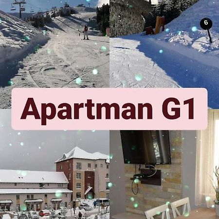 Apartman G1 U Milmari Kompleksu - 科帕奥尼克 外观 照片