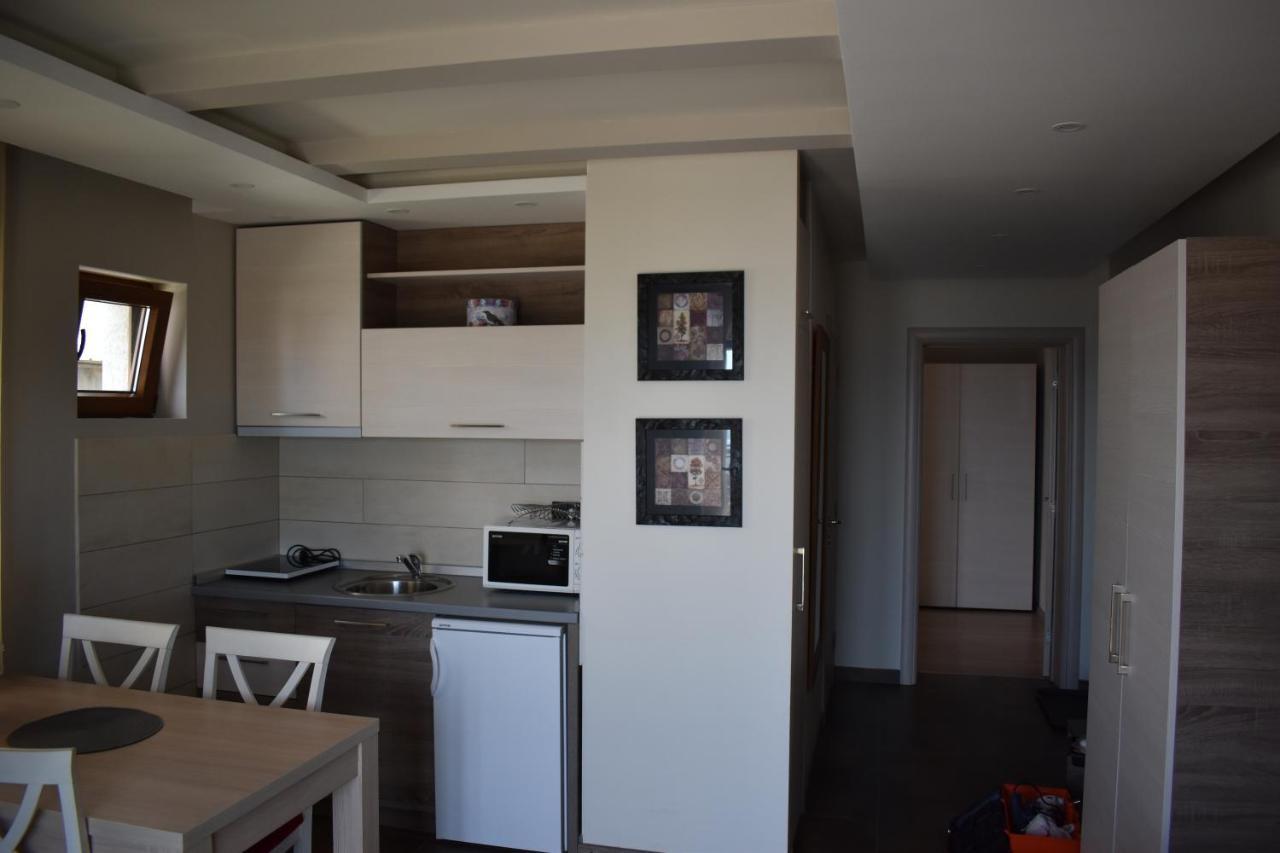 Apartman G1 U Milmari Kompleksu - 科帕奥尼克 外观 照片